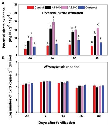 Nitrite Oxidizer Activity and Community Are More Responsive Than Their Abundance to Ammonium-Based Fertilizer in an Agricultural Soil